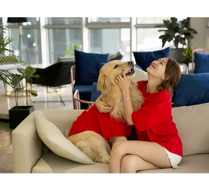 Gucci 犬のｔシャツ お飼い主と一緒