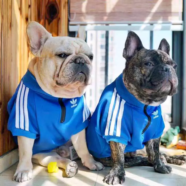 adidas 犬服 ペットウェア