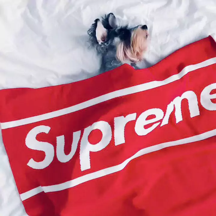 Supreme ペット用品