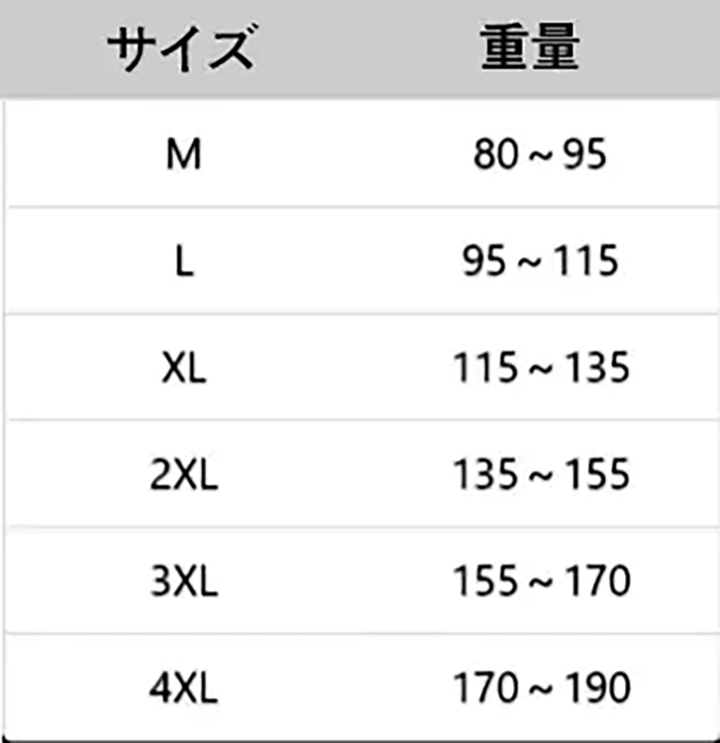 CHANEL tシャツ 人気