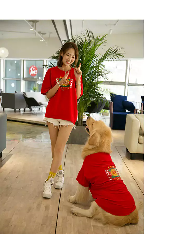 Gucci 犬のｔシャツ お飼い主と一緒