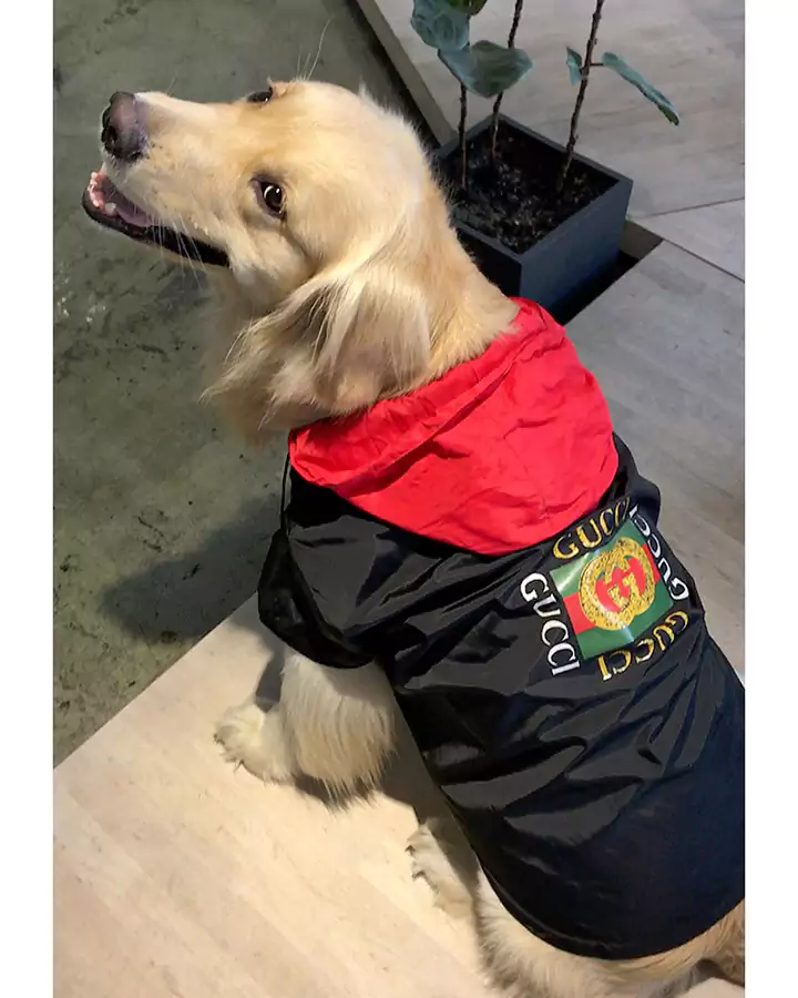 Gucci 犬服 コート