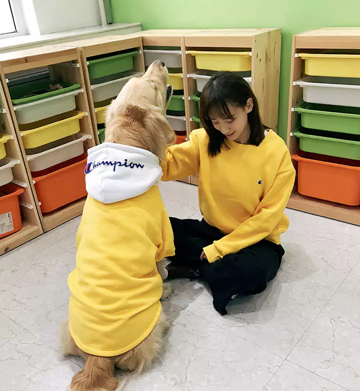 Champion 犬パーカー 親子服