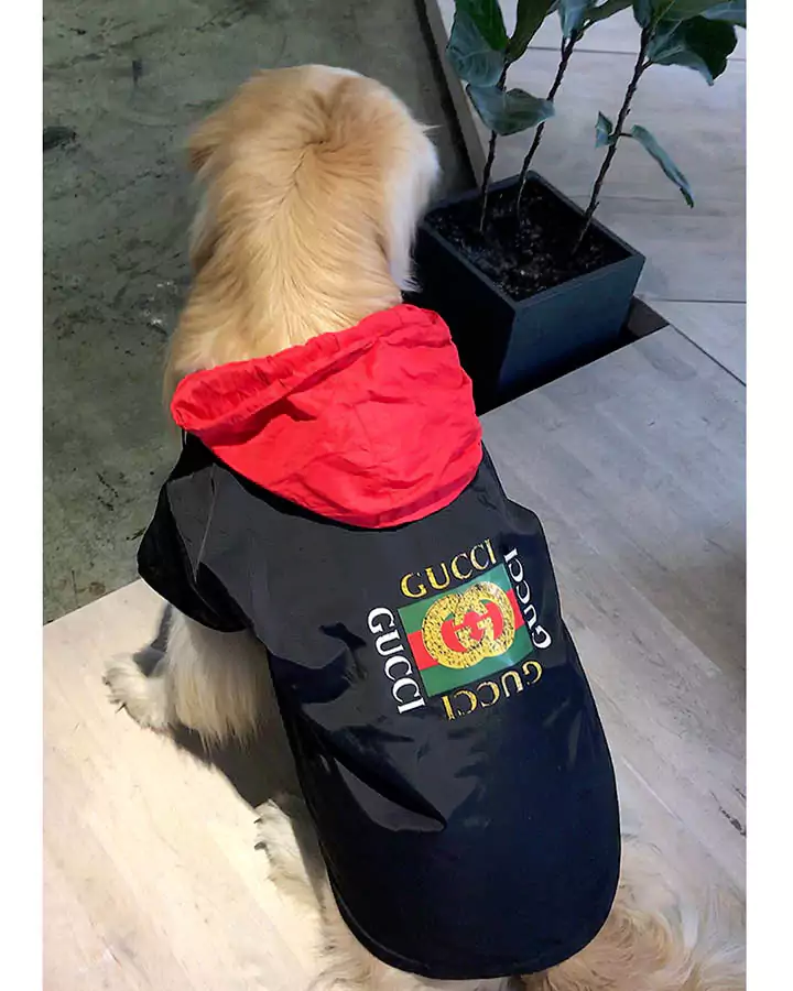 Gucci 犬服 コート