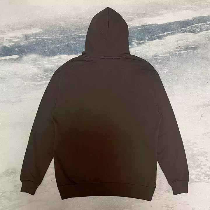 LOUIS VUITTON 服 パーカー