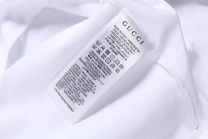 The North Face x Gucci コラボ tシャツ
