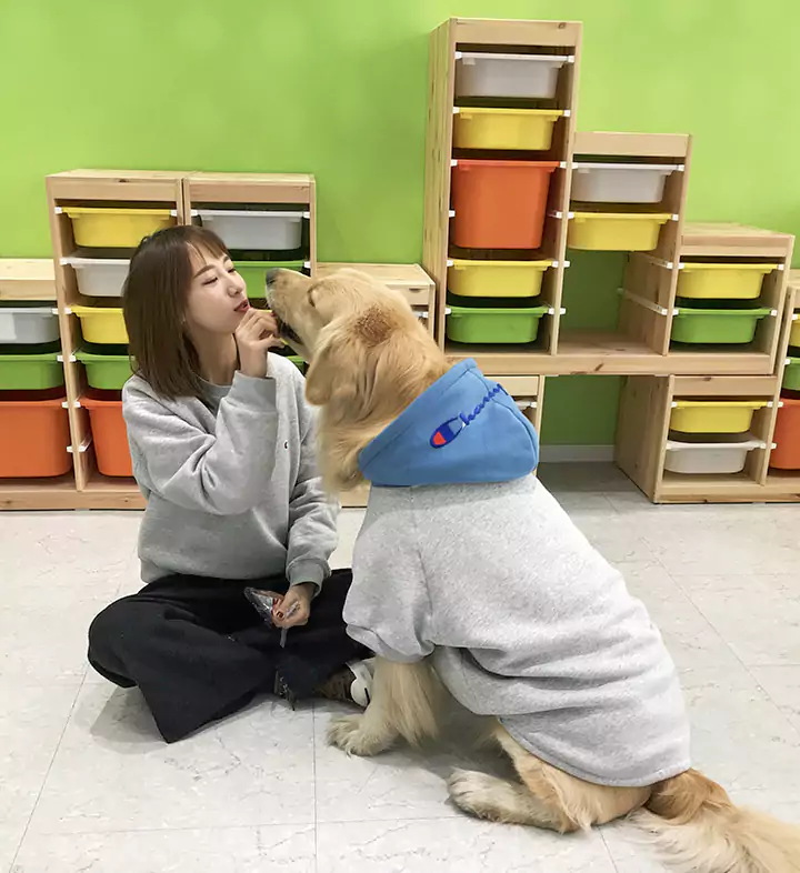 Champion 犬パーカー 親子服