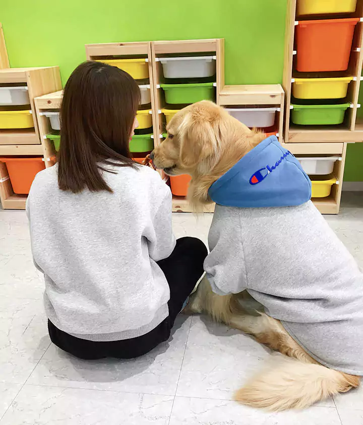 チャンピオン 大人と親子服