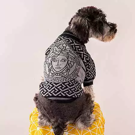 Versace 犬服 ニットセーター