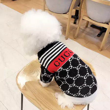 Gucci 犬ニットセーター 可愛い