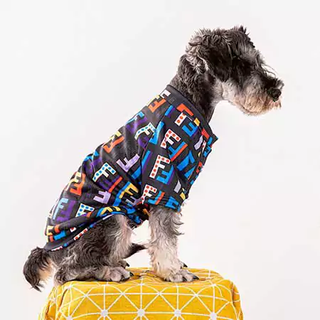 Fendi 犬洋服 フードパーカー