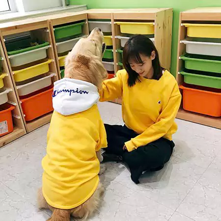 Champion 犬服 大人服