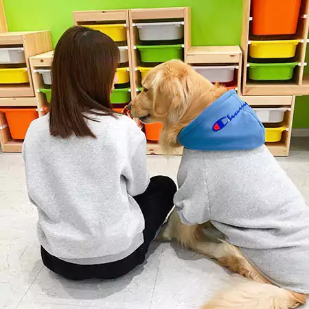 Champion 犬服 大人服