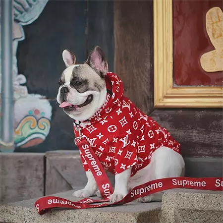 ルイヴィトンxシュプリーム 犬ウェア パーカー