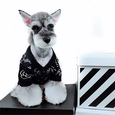 CHANEL 犬の服 防寒服